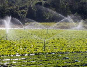 Garantizando la calidad del agua para la agricultura