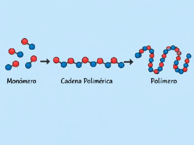 Polímeros