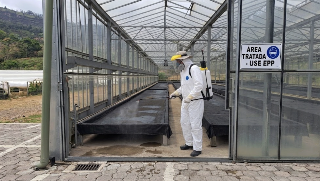 Control de olores: aplicación de producto Bioimpec para control de olores sobre lodos en secado solar