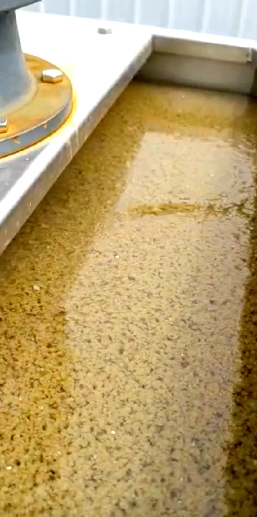 Agua clarificada con flóculos formados con polímero AWT en Procongelados